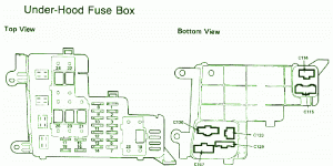 1989 Honda Accord Under Hood Fuse Box Diagram