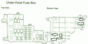 1998 Suzuki X-90 Underhood Fuse Box Diagram