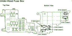 1988 Honda DX Under Hood Fuse Box Diagram