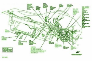 2003 Ford Saleen S28 Primary Fuse Box Diagram